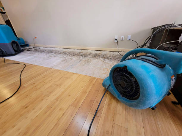 Professional Basement Flood Cleanup technician working in Grand Prairie, TX